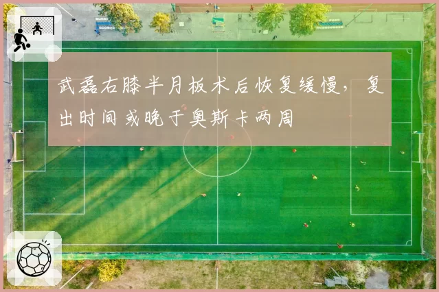武磊右膝半月板术后恢复缓慢,复出时间或晚于奥斯卡两周