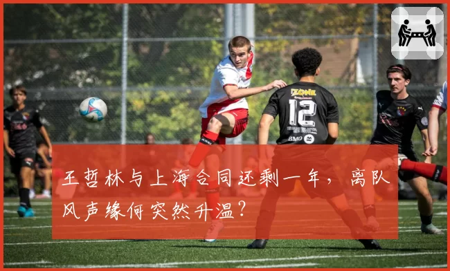 王哲林与上海合同还剩一年，离队风声缘何突然升温？