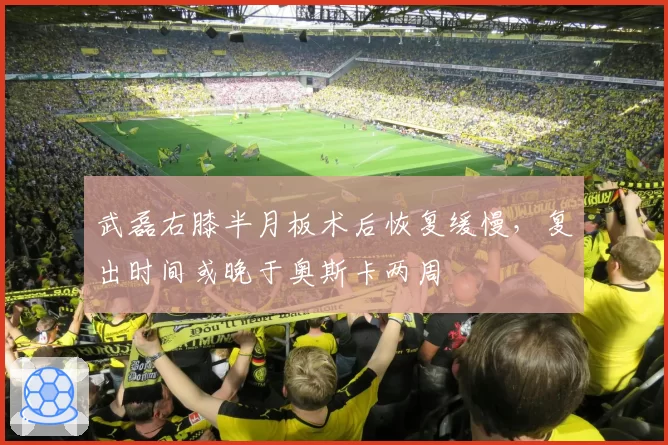 武磊右膝半月板术后恢复缓慢,复出时间或晚于奥斯卡两周